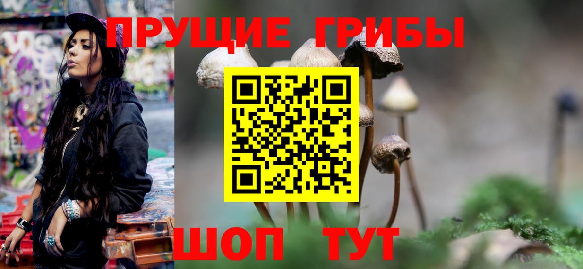 Псилоцибиновые грибы Magic Shrooms  Псилоцибиновые грибы Psilocybine cubensis  Алушта  Вход с VPN 